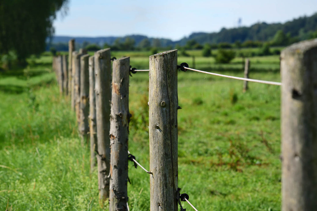 Electric Wooden Fence