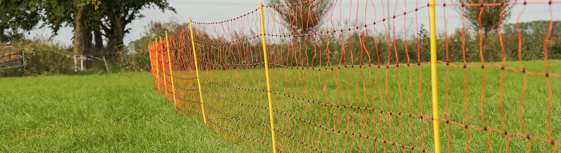Netting