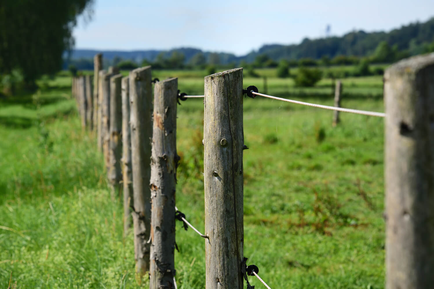 Electric Wooden Fence