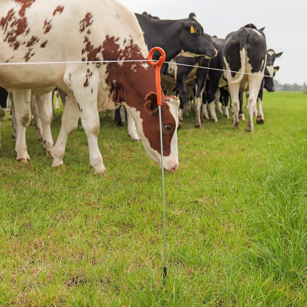Gallagher Ring Top Electric Fence Posts - 1.0m/3ft 3in (Pack of 10)