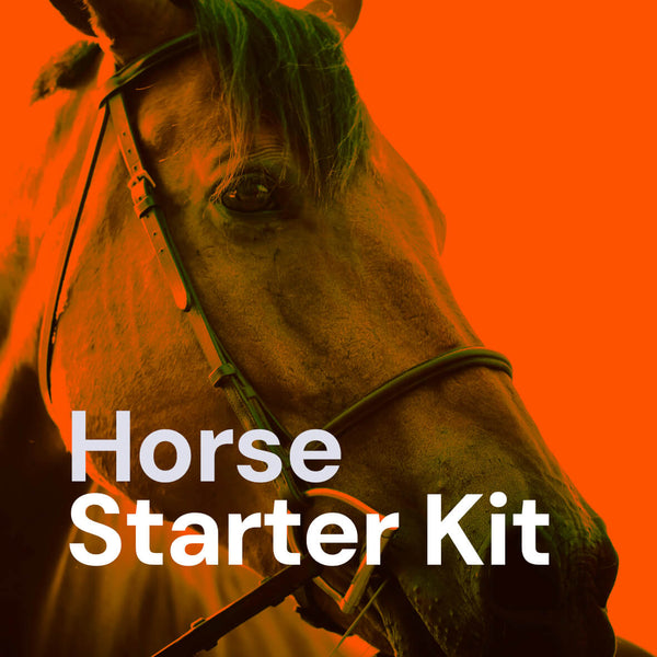 Horse Starter Electric Fence Kit