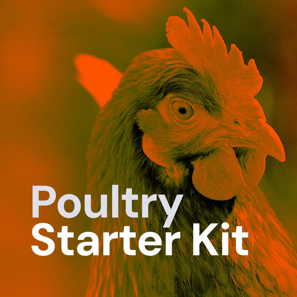 Poultry Starter Electric Fence Kit