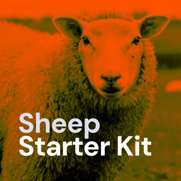 Sheep Starter Electric Fence Kit