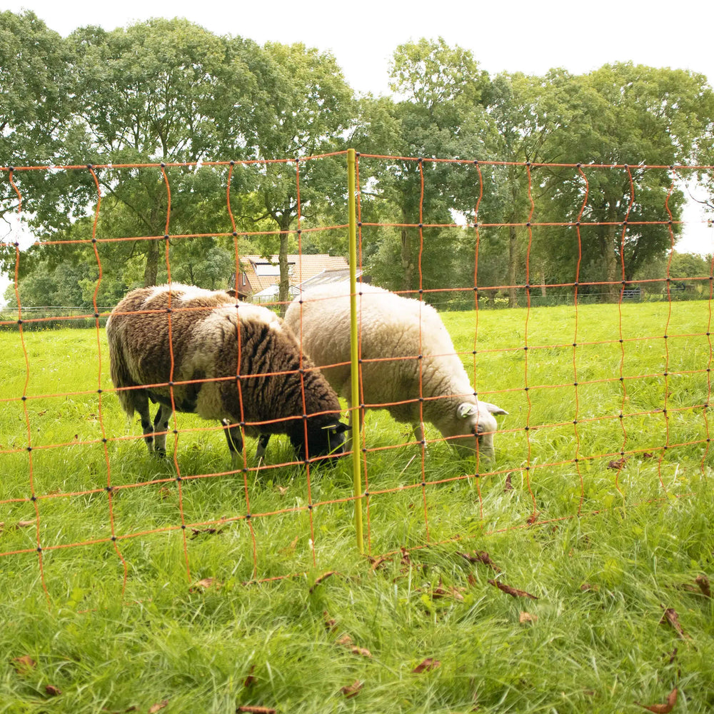 Gallagher Sheep Netting - 90cm x 50m - Single Pin